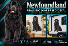 Newfoundland decal summary with indoor and outdoor examples — sizes 12 to 48 inches high