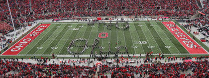 Ohio State Football Stadium Wall Mural
