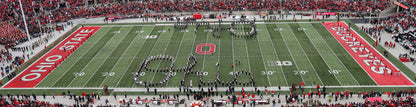 Ohio State Football Stadium Wall Mural