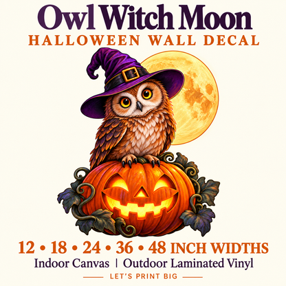 Owl Witch Moon summary