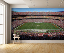 Northwest Stadium Design B Wall Mural