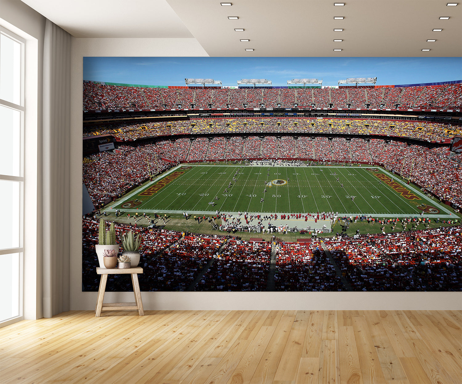 Northwest Stadium Design B Wall Mural