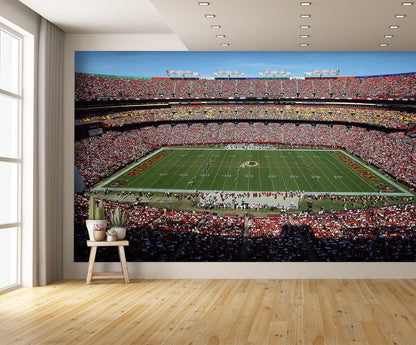 Northwest Stadium Design B Wall Mural