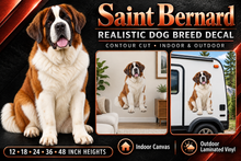 Saint Bernard decal summary with indoor and outdoor examples — sizes 12 to 48 inches high