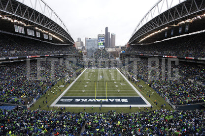 Lumen Stadium Wallpaper Field Football Stadium Wall Mural proof