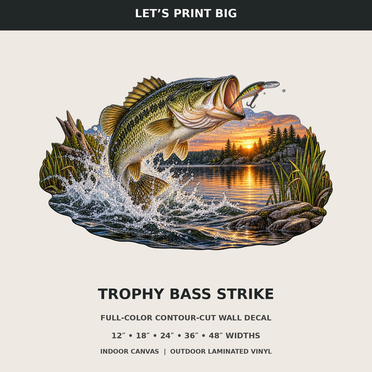 Trophy Bass Strike summary