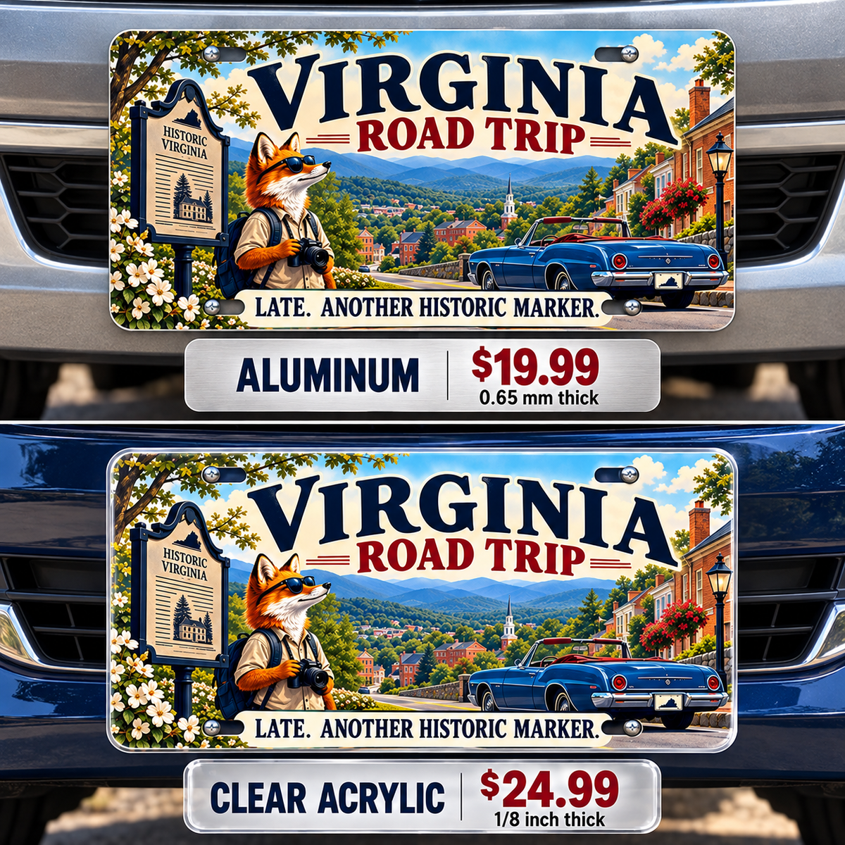 Virginia Historic Detour funny license plate — aluminum and acrylic vehicle mockups