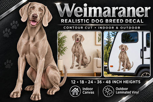 Weimaraner decal summary — 12 to 48 inch heights, indoor and outdoor