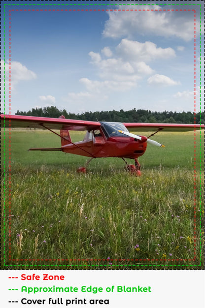 Red Plane On the Grass Blanket
