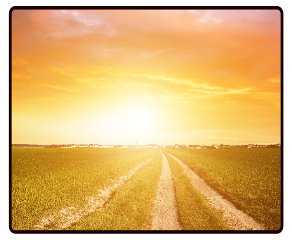 Sunset In the Field Desk Mat