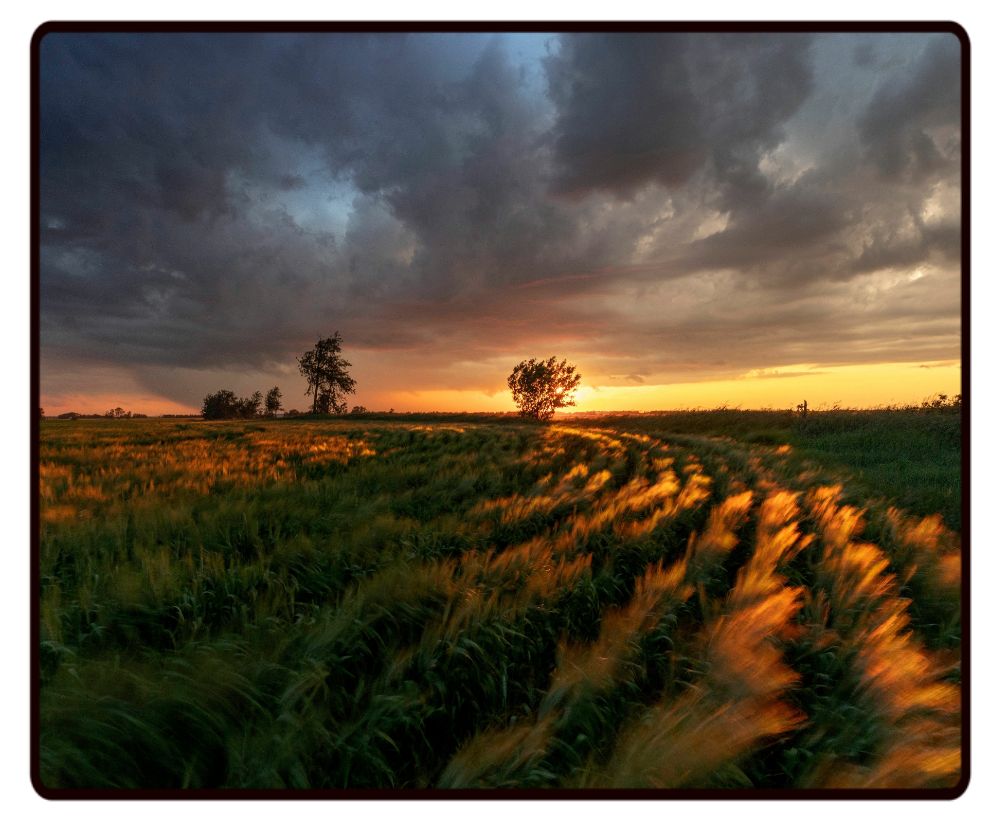 Cloudy Field Sunset Desk Mat