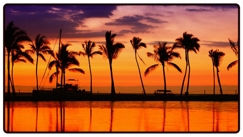 Palm Tree Sunset Desk Mat