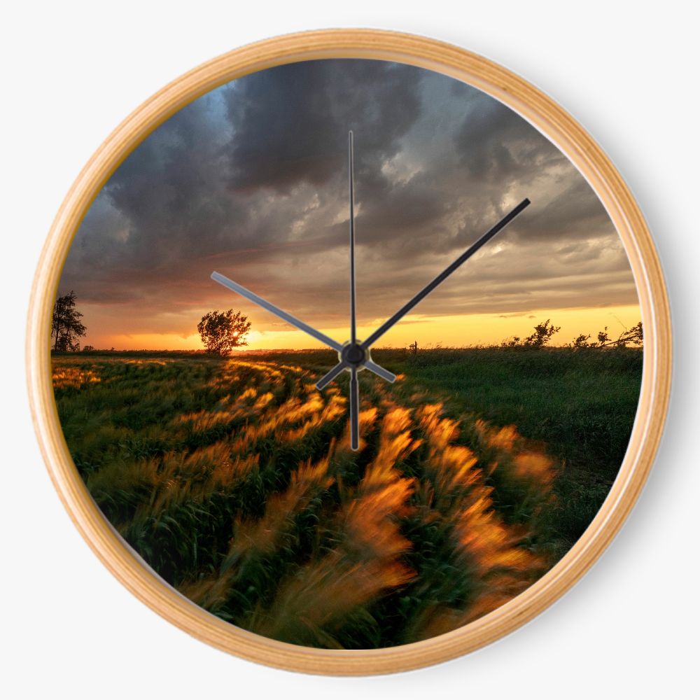 Cloudy Field Sunset 10 inch wall clock