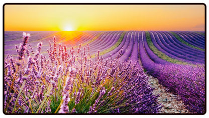Lavender Field Sunset Desk Mat