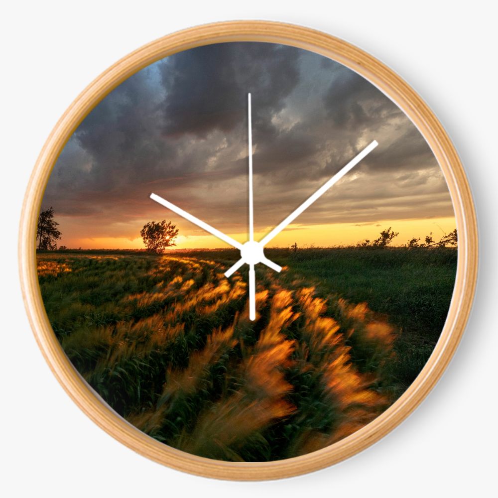 Cloudy Field Sunset 10 inch wall clock
