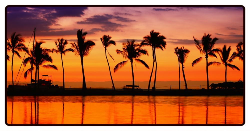 Palm Tree Sunset Desk Mat