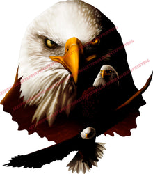 American Bald Eagle Head Combo Wall Art Wall Decal Indoors Outdoors Large