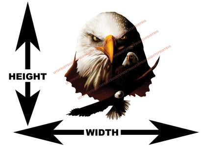 American Bald Eagle Head Combo Wall Art Wall Decal Indoors Outdoors Large
