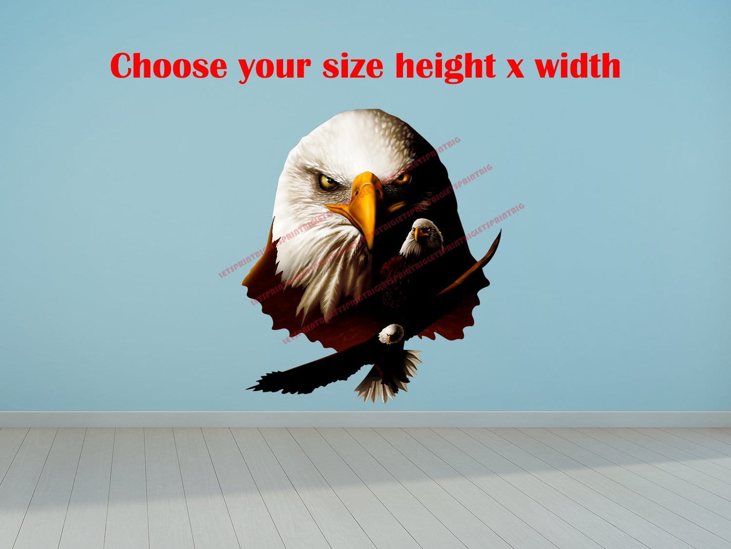American Bald Eagle Head Combo Wall Art Wall Decal Indoors Outdoors Large