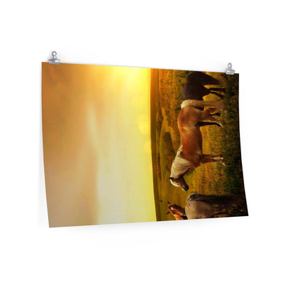 Horses in Pasture as Sunset Poster - 7 Size choices - Let's Print Big