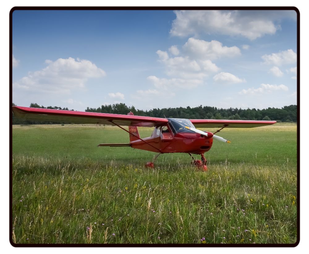 Red Plane on the Grass Desk Mat