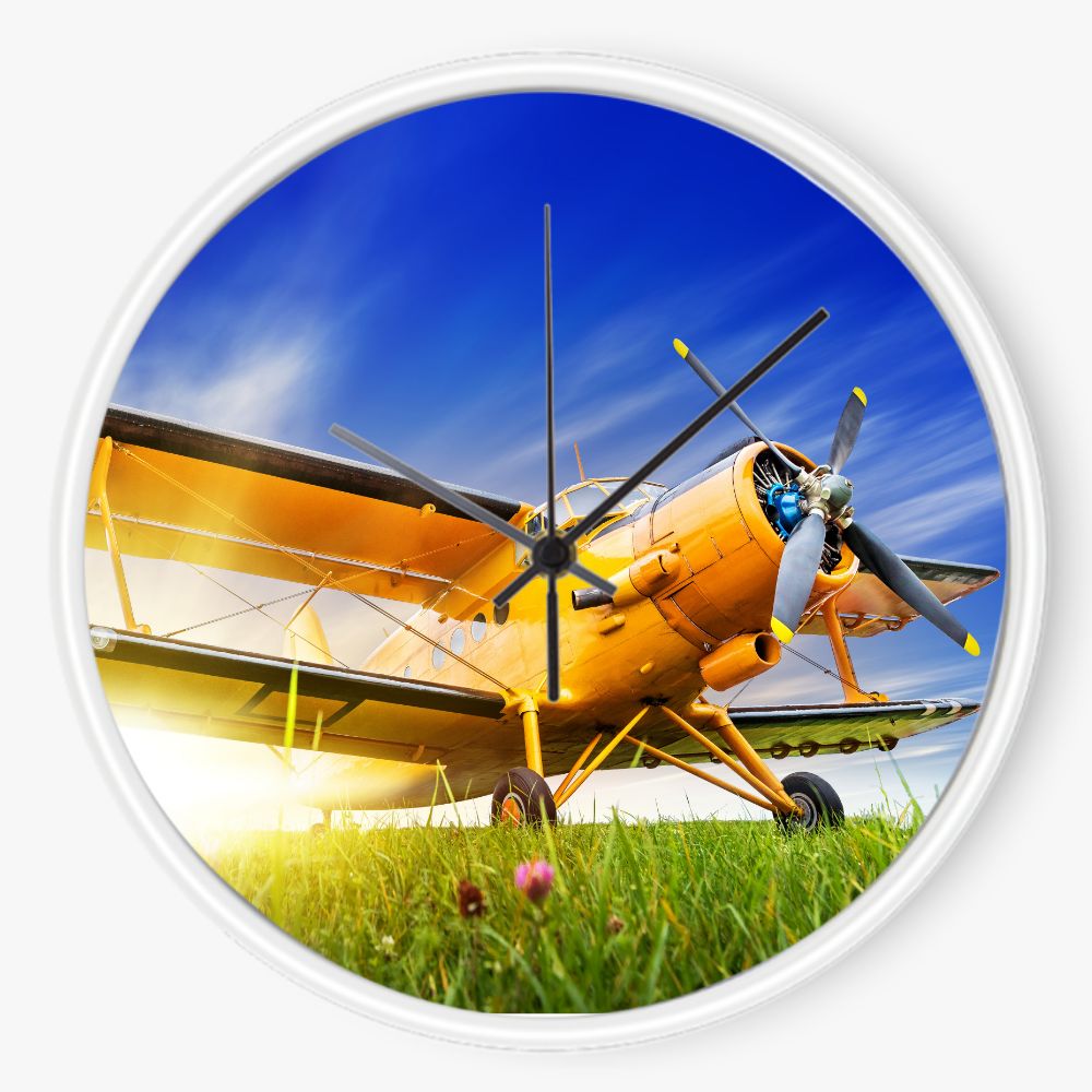 Biplaine sunset 10 inch wall clock