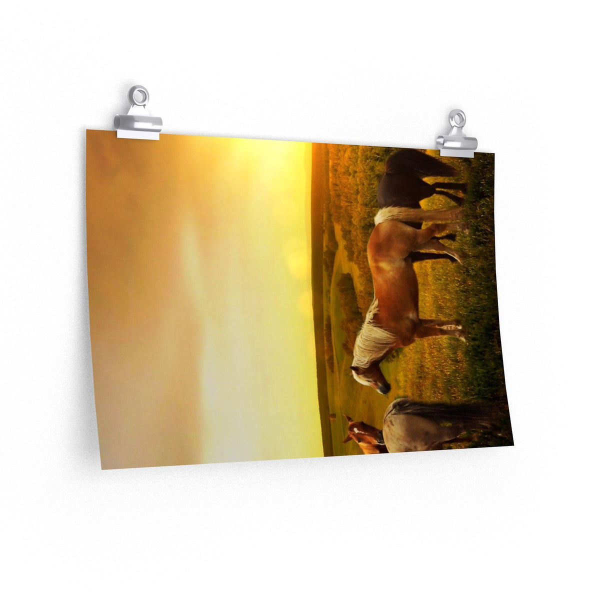 Horses in Pasture as Sunset Poster - 7 Size choices - Let's Print Big