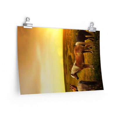 Horses in Pasture as Sunset Poster - 7 Size choices - Let's Print Big