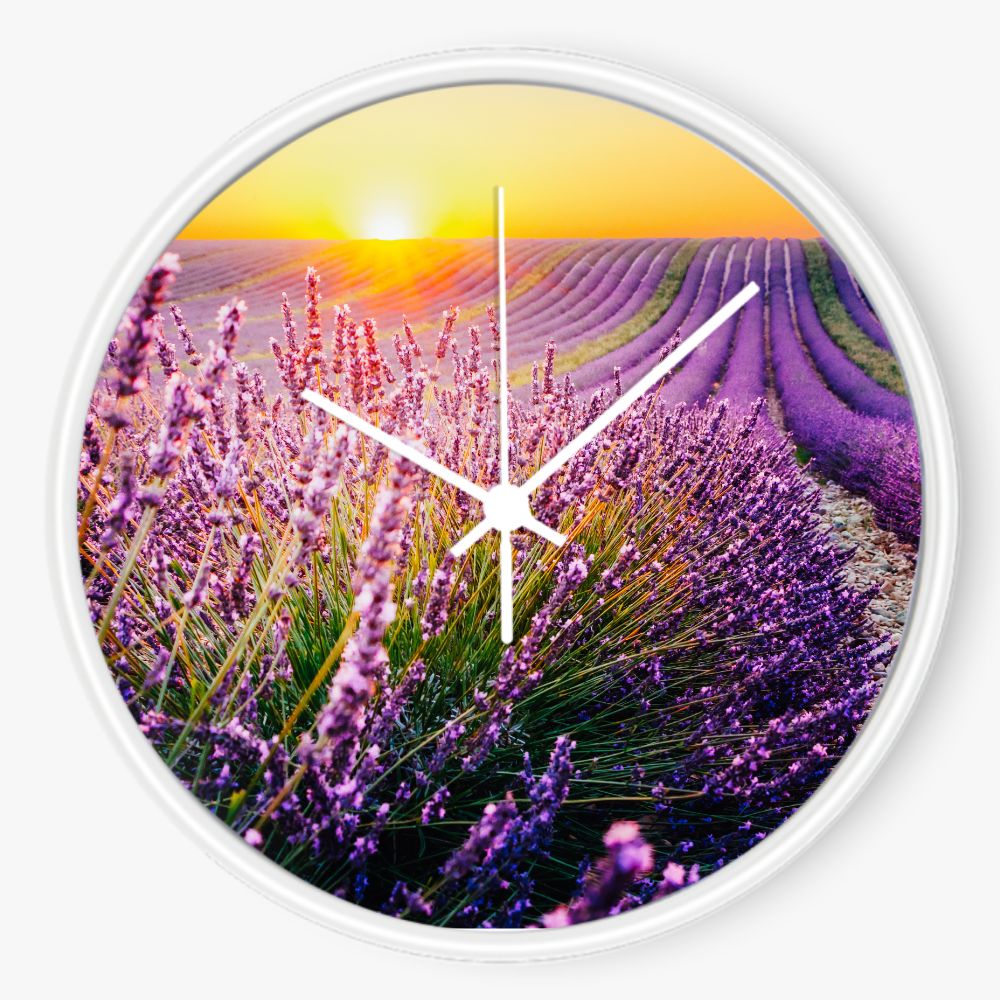 Lavender Field Sunset 10 inch wall clock