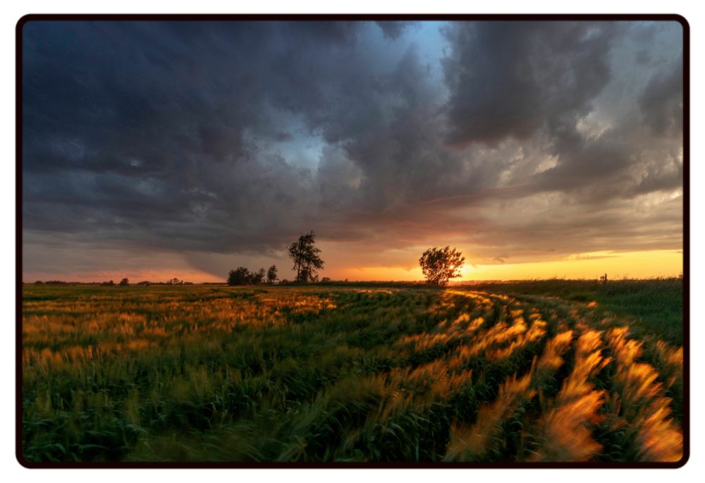 Cloudy Field Sunset Desk Mat