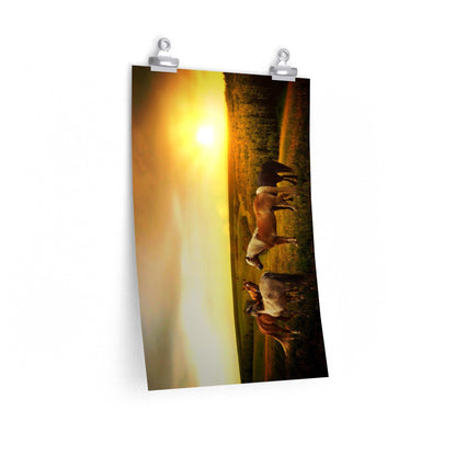 Horses in Pasture as Sunset Poster - 7 Size choices - Let's Print Big