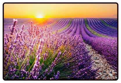 Lavender Field Sunset Desk Mat