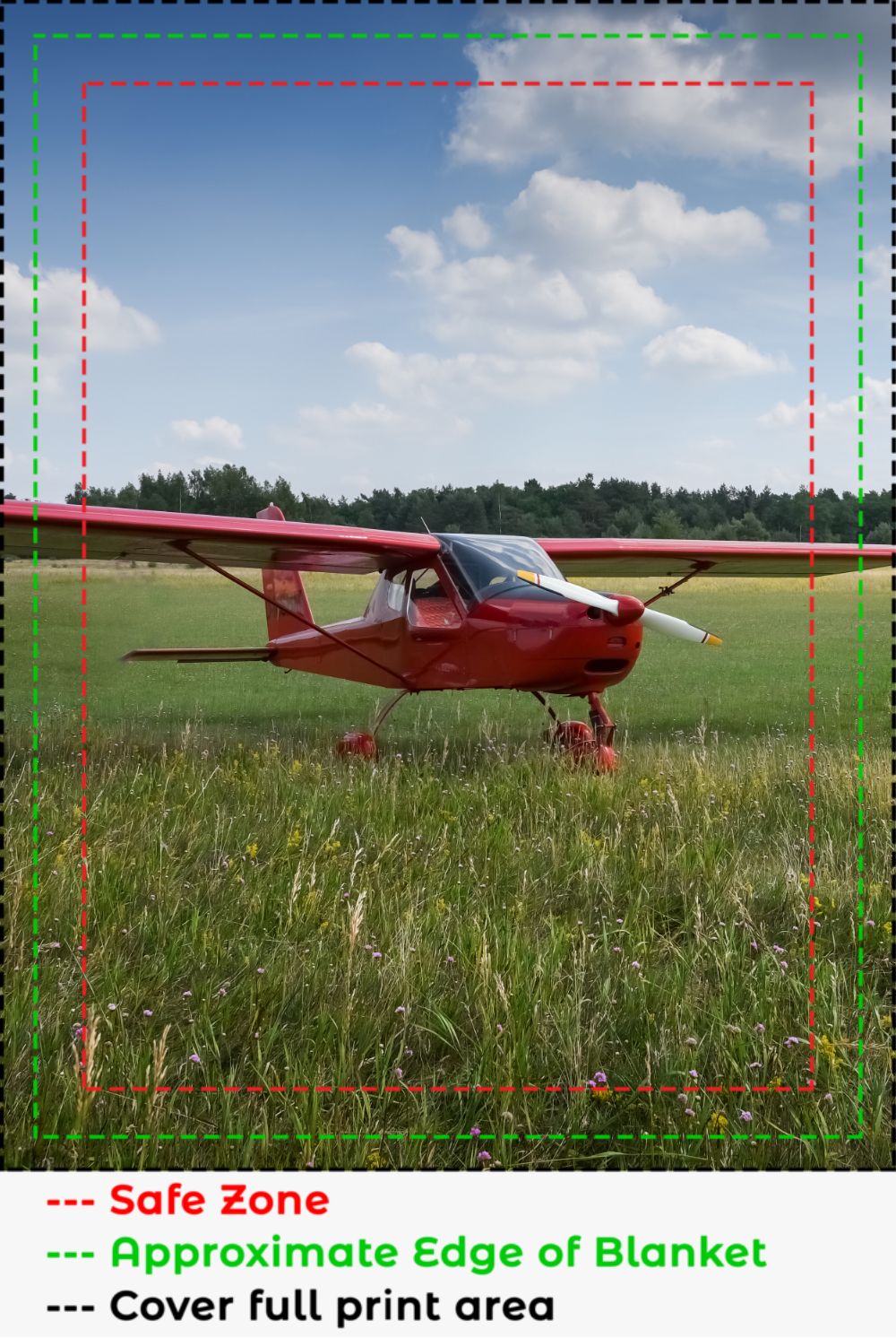 Red Plane On the Grass Blanket