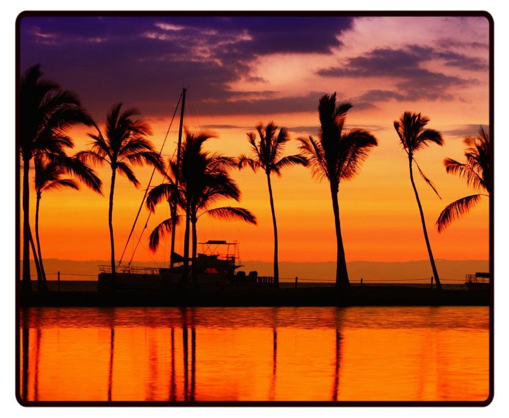 Palm Tree Sunset Desk Mat