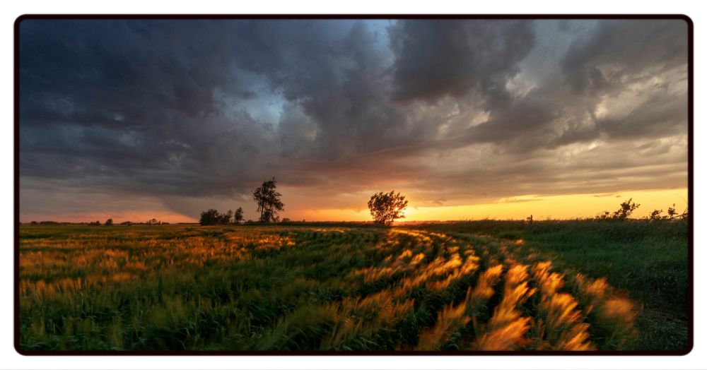 Cloudy Field Sunset Desk Mat