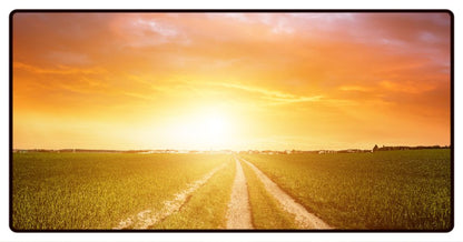 Sunset In the Field Desk Mat