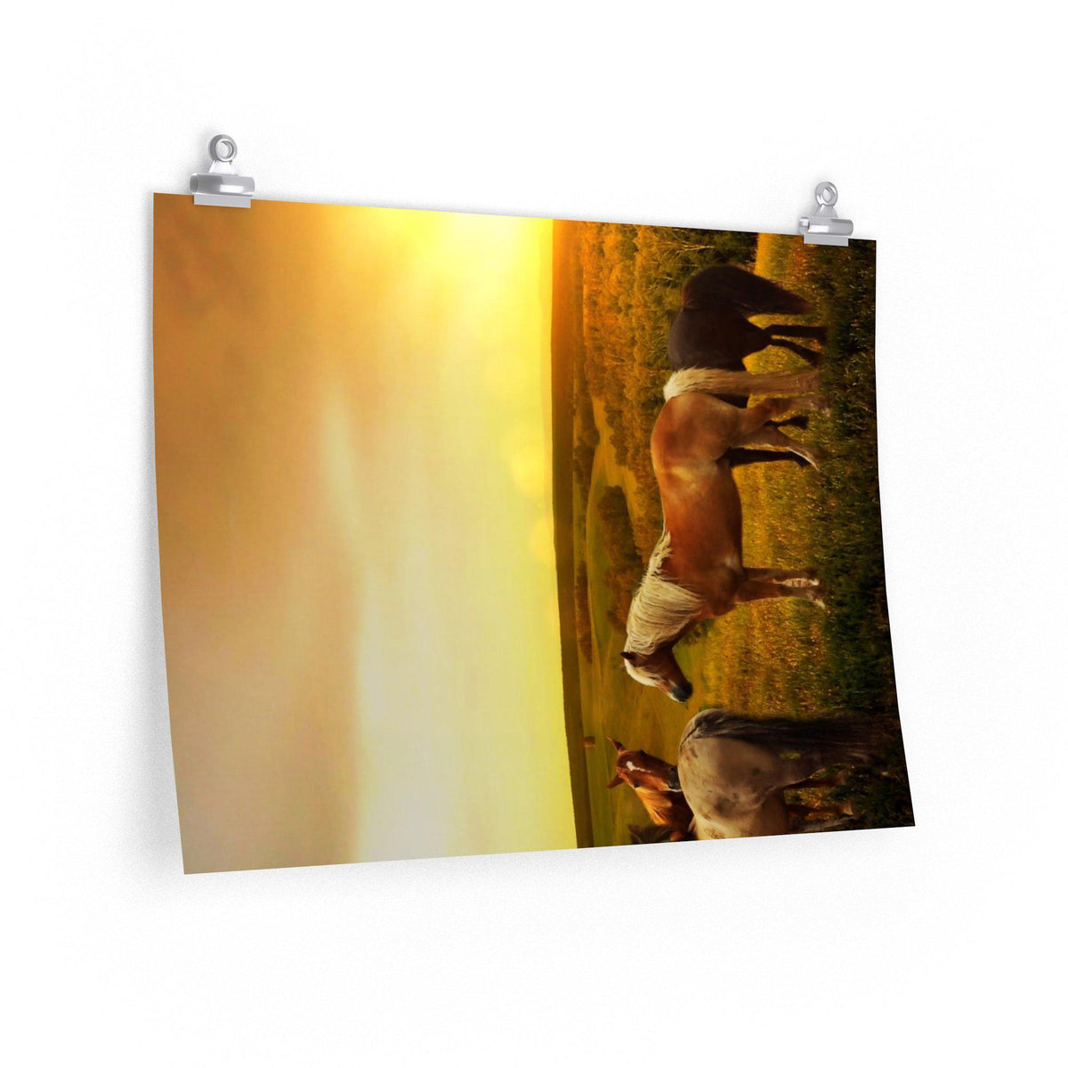 Horses in Pasture as Sunset Poster - 7 Size choices - Let's Print Big