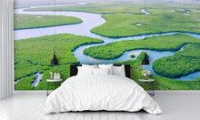 Aerial View Amazon Rain Forest Wall Mural