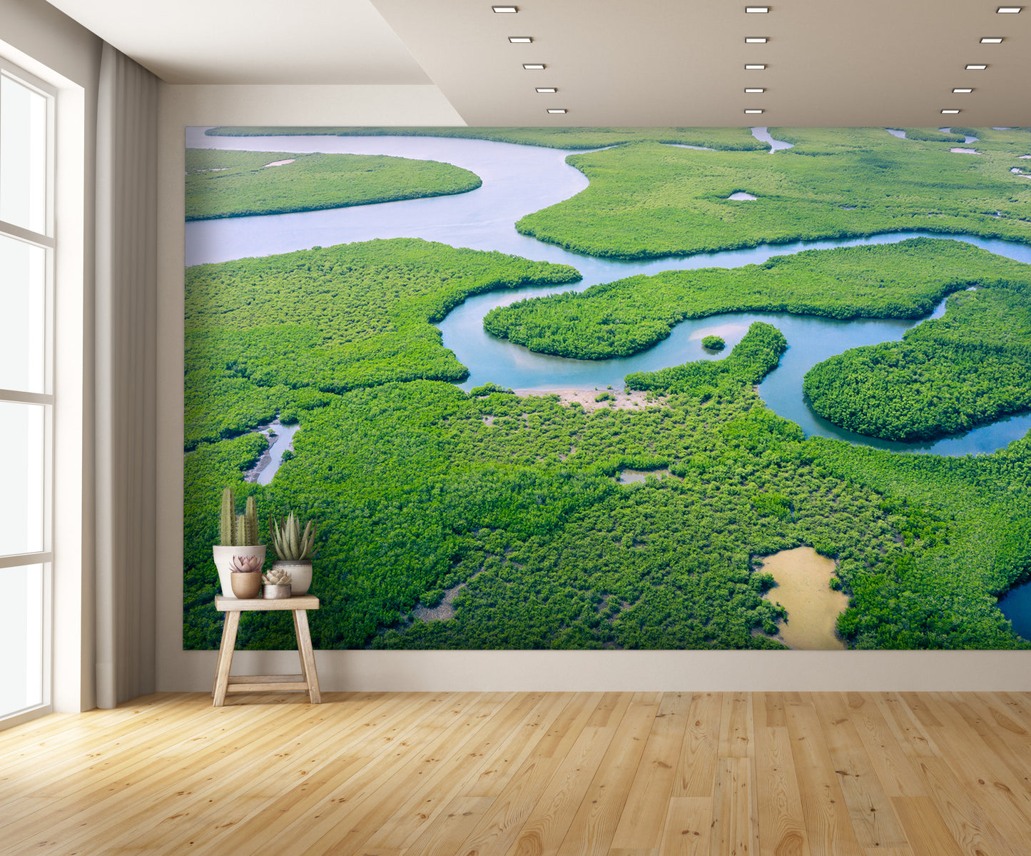 Aerial View Amazon Rain Forest Wall Mural