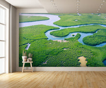 Aerial View Amazon Rain Forest Wall Mural