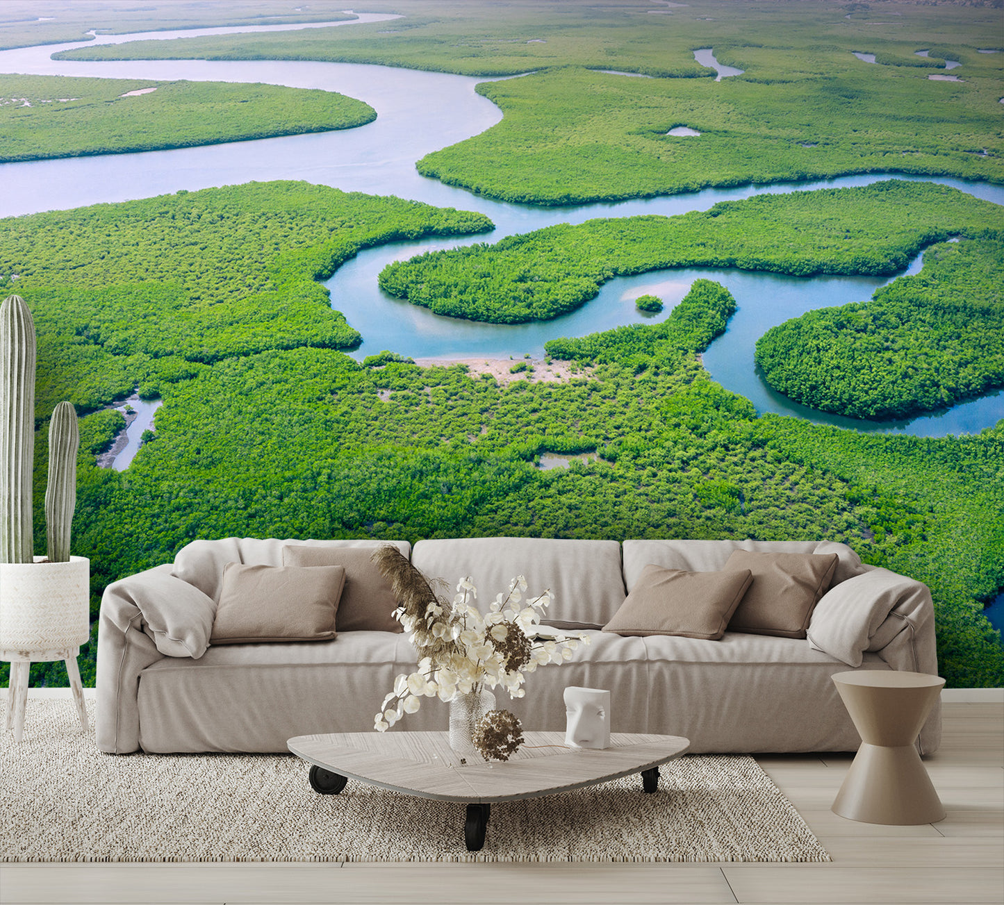 Aerial View Amazon Rain Forest Wall Mural