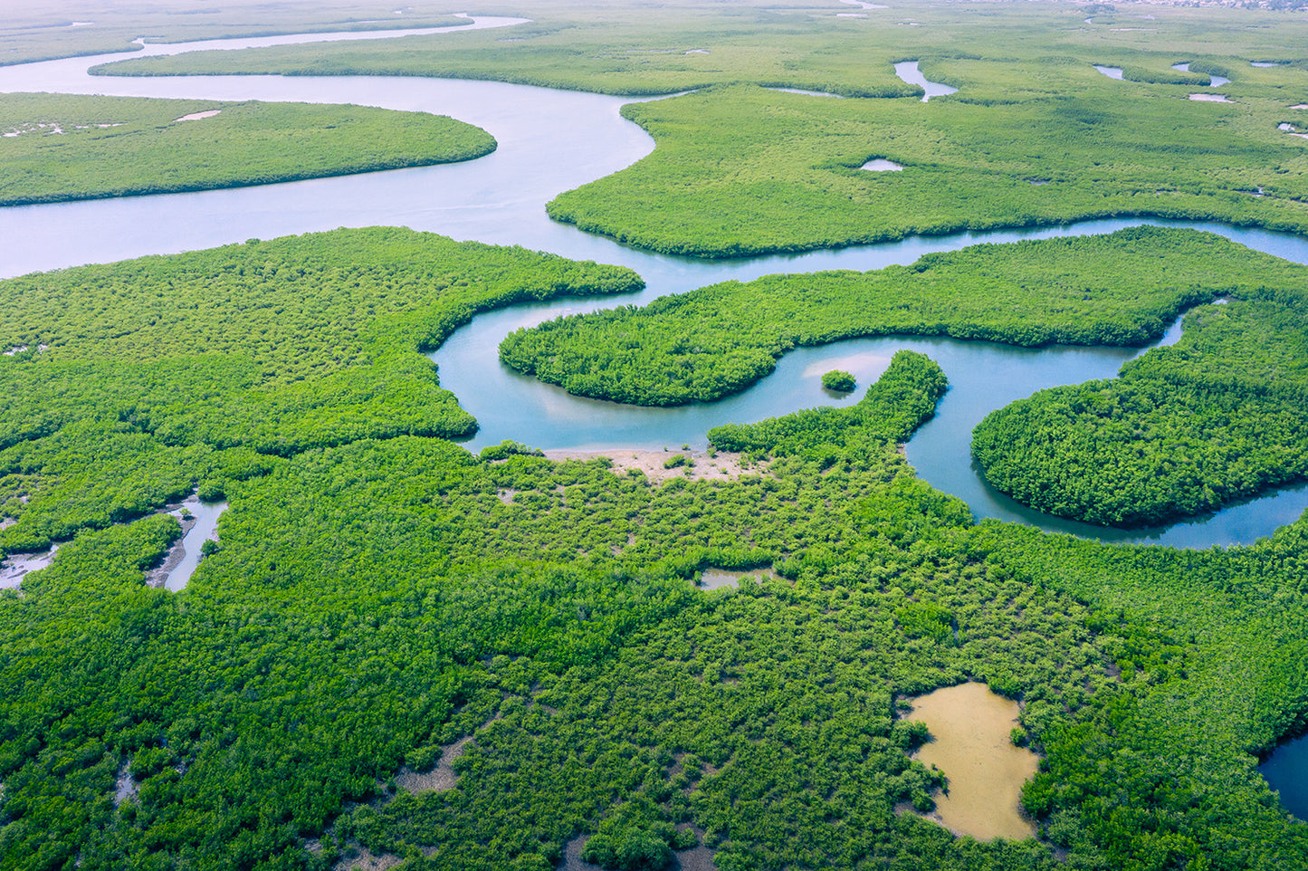 Aerial View Amazon Rain Forest Wall Mural
