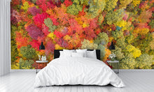 Aerial View Fall Autumn Leaf Foliage Wall Mural
