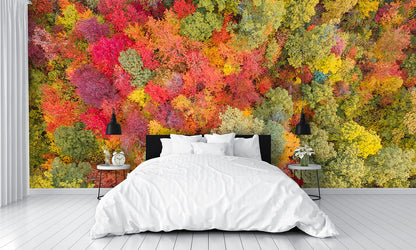 Aerial View Fall Autumn Leaf Foliage Wall Mural