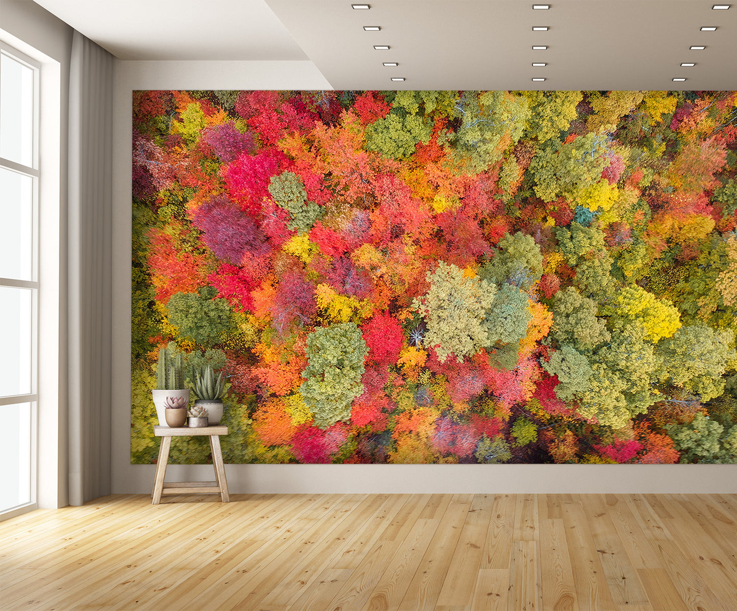 Aerial View Fall Autumn Leaf Foliage Wall Mural