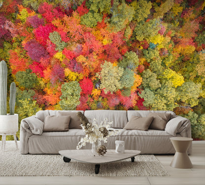 Aerial View Fall Autumn Leaf Foliage Wall Mural