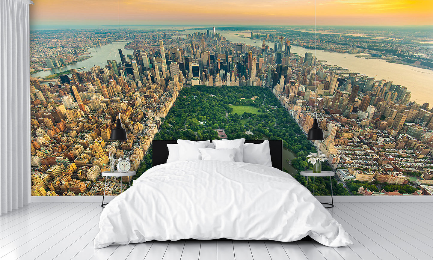 Aerial View New York Central Park Wall Mural