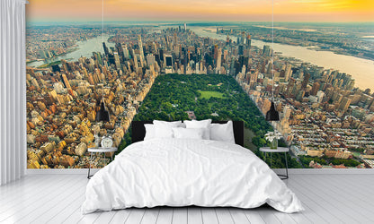 Aerial View New York Central Park Wall Mural