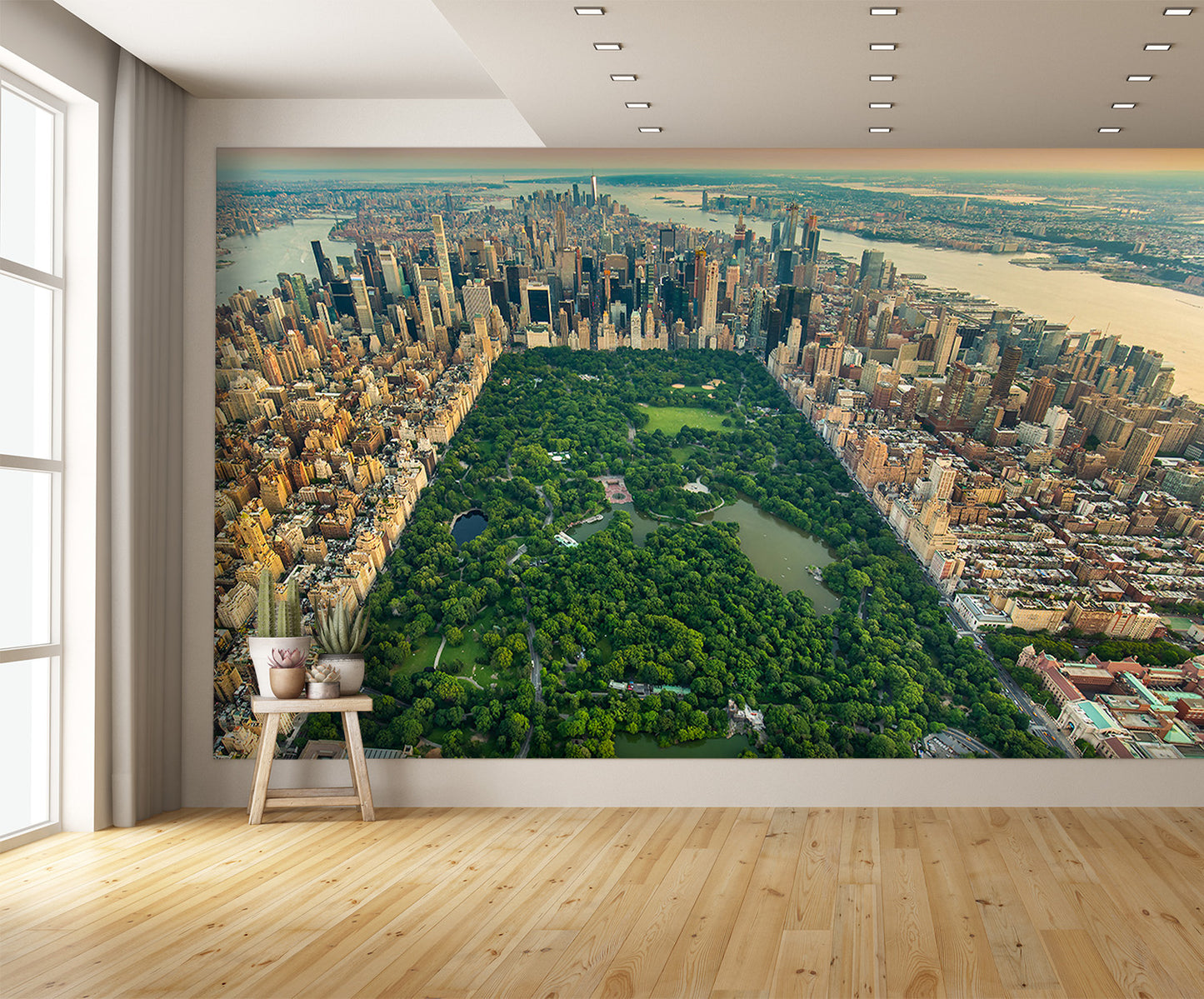Aerial View New York Central Park Wall Mural