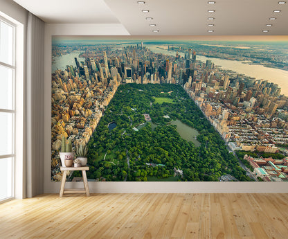 Aerial View New York Central Park Wall Mural